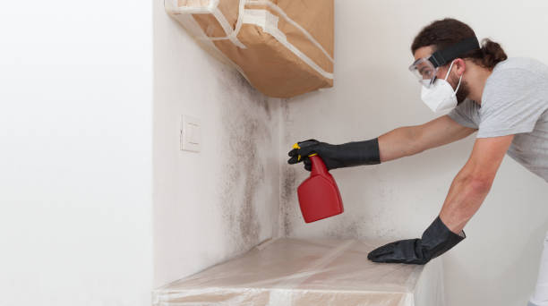 Attic Mold Remediation treatment on roof deck in Wynnewood