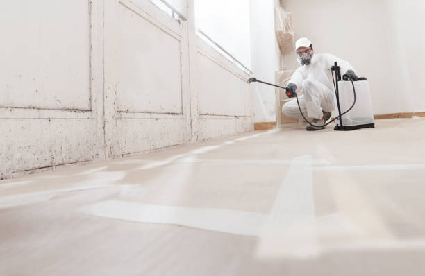 Black mold remediation team in Wynnewood